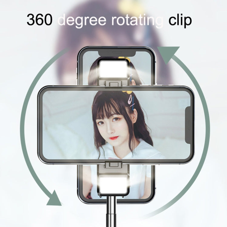 25009